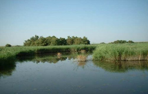 PN Las Tablas de Daimiel